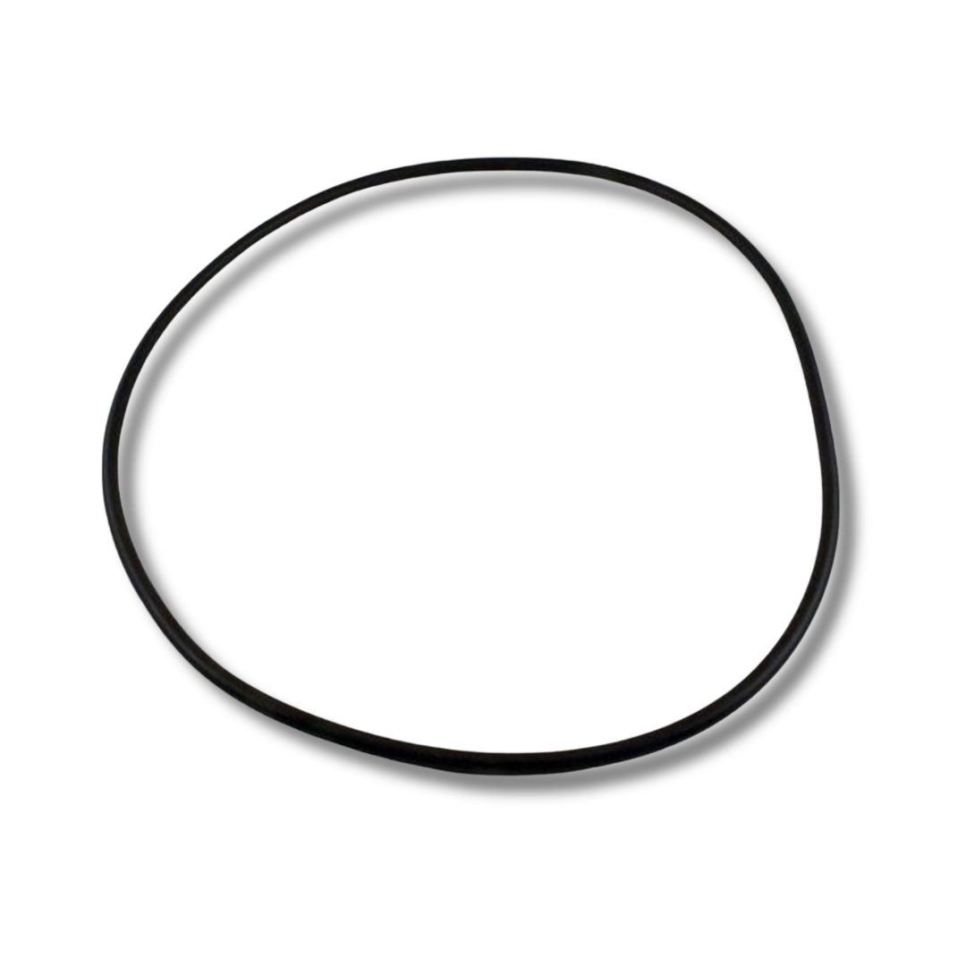 Waterway Plastics 805-0460B Bagged Lid O-Ring: For ClearWater II Cartridge & D.E. Filter