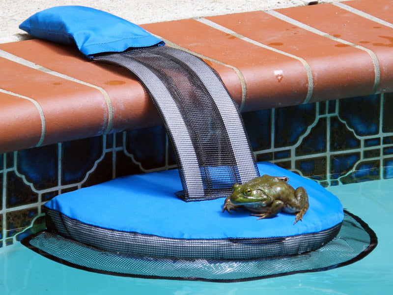 Swimline Frog Log